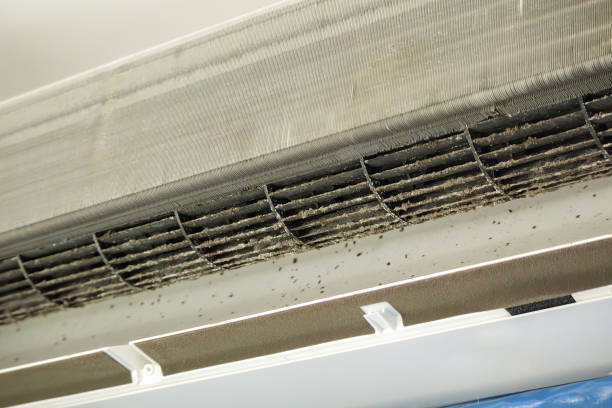 Best HVAC Air Duct Cleaning  in Baldwin, FL